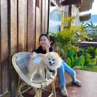 แนะนำที่พักสะปัน คีรี แคมป์ บ่อเกลือ ต่อจ้า
