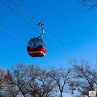 Harbin Ropeway 