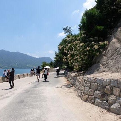 เกาะโอคุโนะชิมะ (Okunoshima) หรือ เกาะกระต่าย