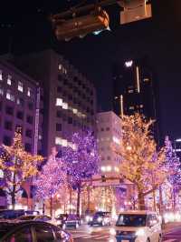 日本🇯🇵 大阪｜御堂筋大街超美燈飾裝置🎄❄️
