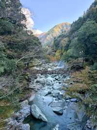 難得一見使用藤蔓搭建而成的這座橋