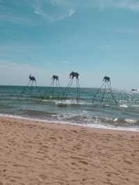 Sunset Sanato Beach Club เวียดนาม