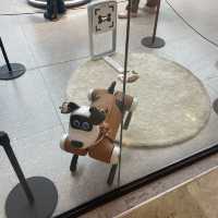 Petdroid another future pet 🐶 Baby Alpha