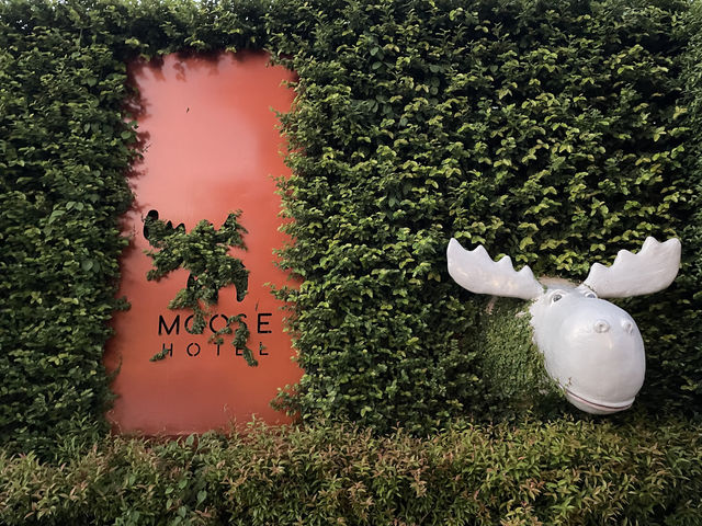 Moose Hotel Chiangmai