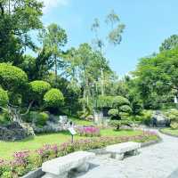 九龍寨城公園：歷史與自然的美好之旅 🌸🏞️ 