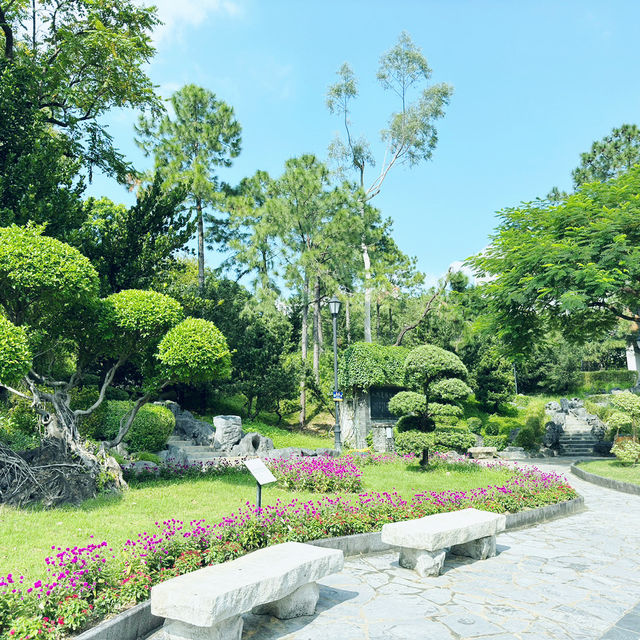 九龍寨城公園：歷史與自然的美好之旅 🌸🏞️ 