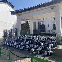 นั่งรถบัสจากสนามบินไปกระเช้า Ngong Ping 36