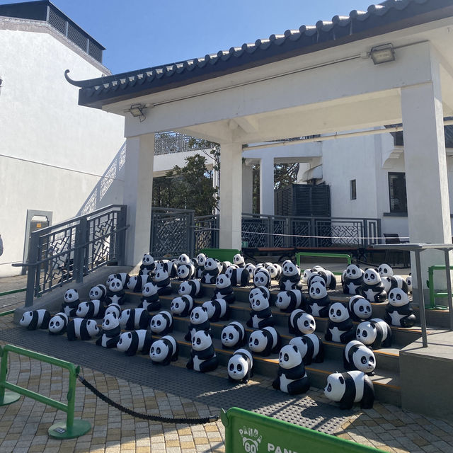 นั่งรถบัสจากสนามบินไปกระเช้า Ngong Ping 36