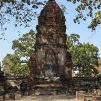 วัดมหาธาตุ จ.พระนครศรีอยุธยา