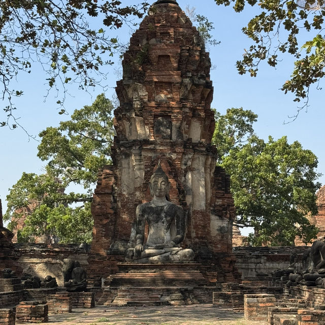 วัดมหาธาตุ จ.พระนครศรีอยุธยา