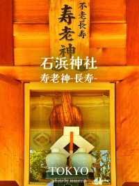 浅草七福神巡りで開運散歩【東京】