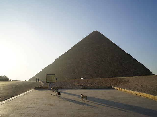 Magical Solo Journey at the Great Pyramid of Giza