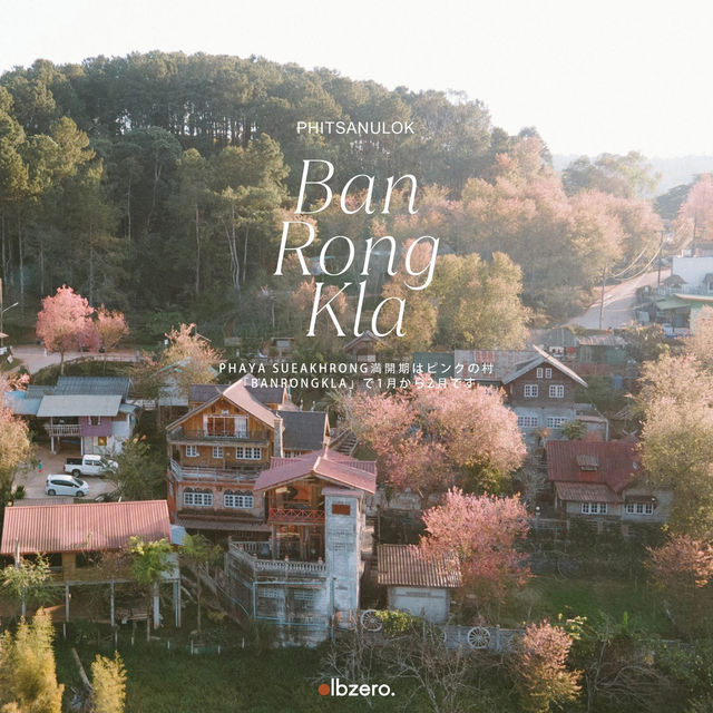 หนึ่งในหมู่บ้านที่ชอบที่สุด 'บ้านร่องกล้า'  🌸🌳