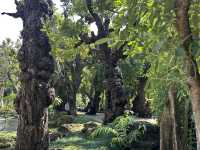 Changthong Heritage Park