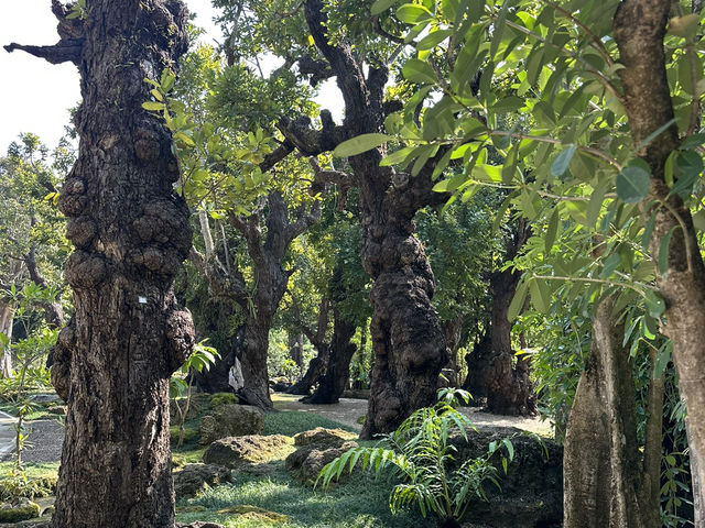 Changthong Heritage Park