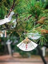 【京都】変わったおみくじ🪭学業の神様！智恩寺