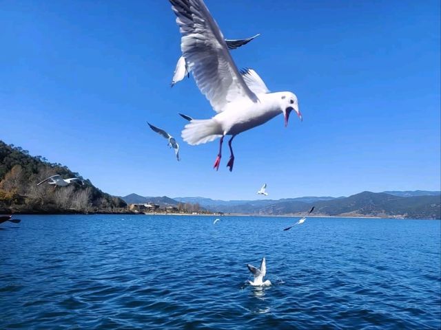 美麗湖泊瀘沽湖 美麗湖泊瀘沽湖