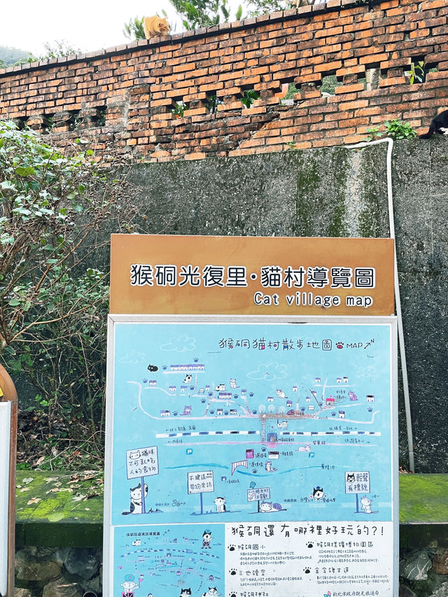 Houlong Cat Village หมู่บ้านที่ทาสแมวต้องหลงรัก 💖
