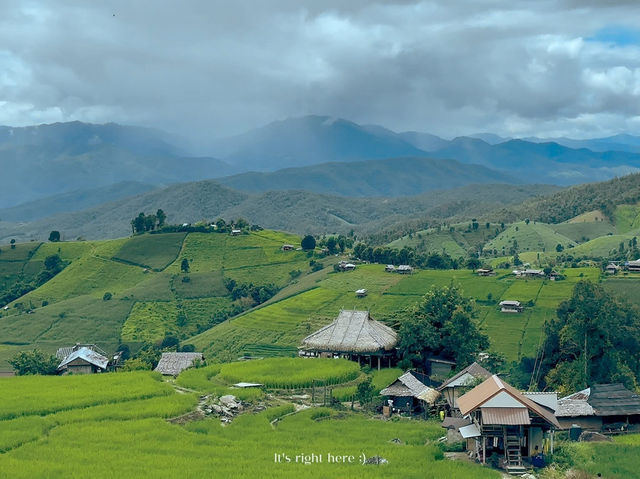 บ้านป่าบงเปียง ทุ่งนาขั้นบันไดสวยที่สุด🌾💚