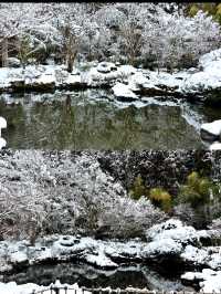 【宮城×冬の旅】詫び寂びを感じる庭  丸窓から見える春夏秋冬の景色