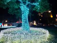 台東～鐵花燈之祭😍