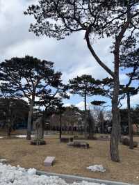 기념일마다 다양한 체험이 있는 전주 박물관👐