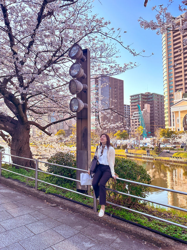 벚꽃여행 후쿠오카 미리 준비해야 싸요
