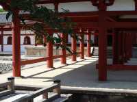 Byodoin Temple: A Timeless Treasure in Uji