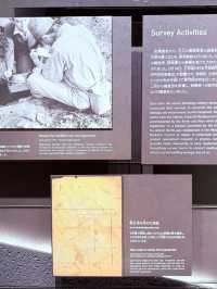 未來和平的反思與珍惜