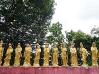 10,000 Buddhas, One Journey: A Peaceful Escape in Sha Tin