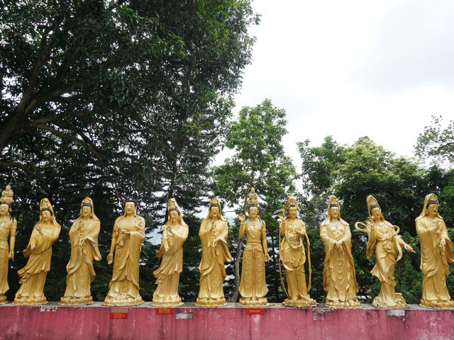 10,000 Buddhas, One Journey: A Peaceful Escape in Sha Tin