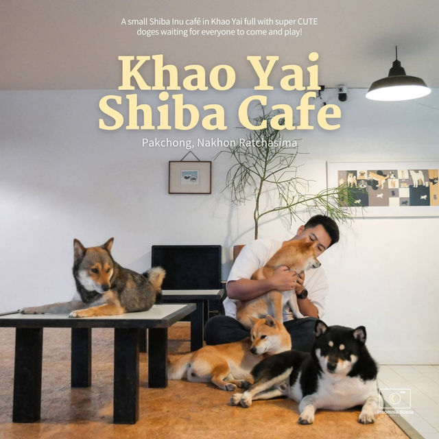 คาเฟ่น้องหมาชิบะ ที่เขาใหญ่🐕