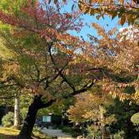 長府庭園～時光的靜謐  