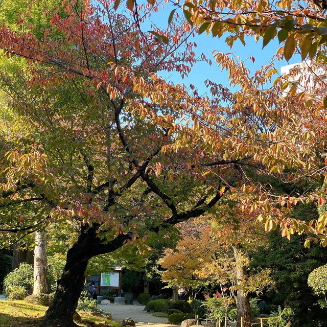長府庭園～時光的靜謐  