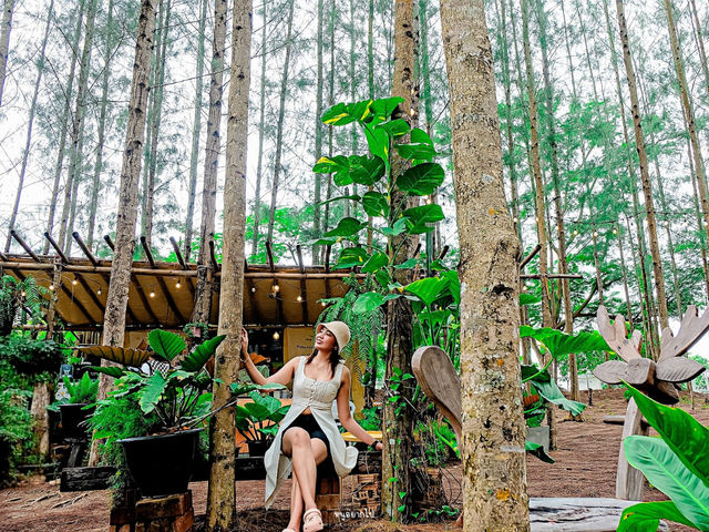 คาเฟ่ในป่าสน ภูผา คอฟฟี่แคมป์ ราชบุรี