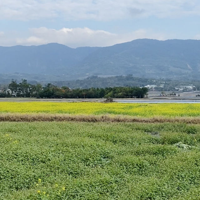 冬日田野漫遊-靜謐又美的旅程