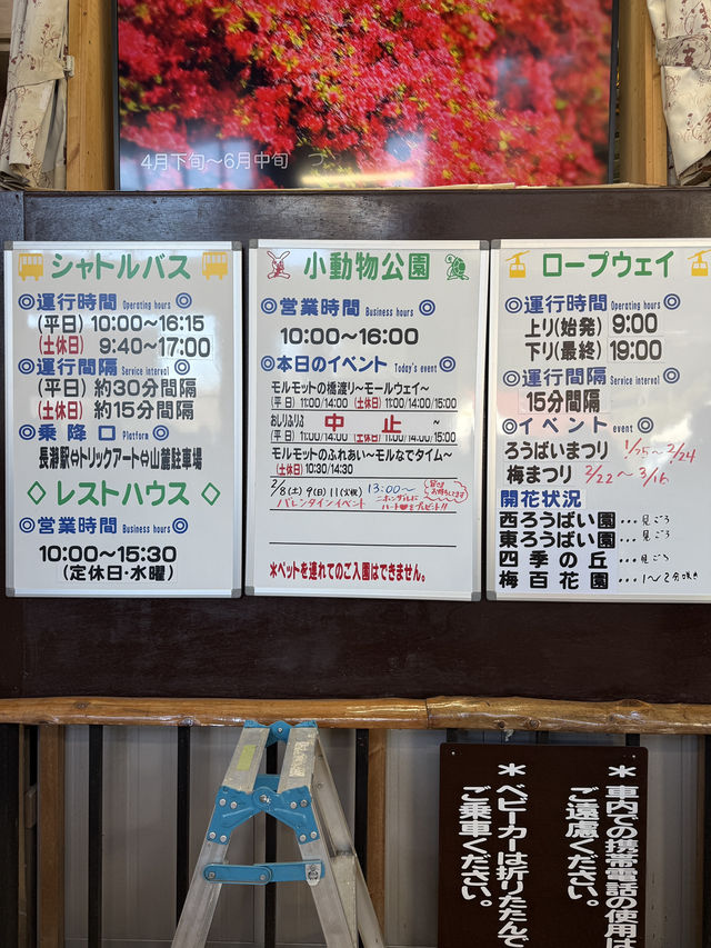 【埼玉県/秩父】見頃はこれから！天空のお花見
