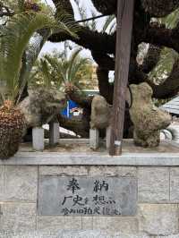 【福岡観光】御神木の大きさに驚き🌳地元で愛される神社⛩