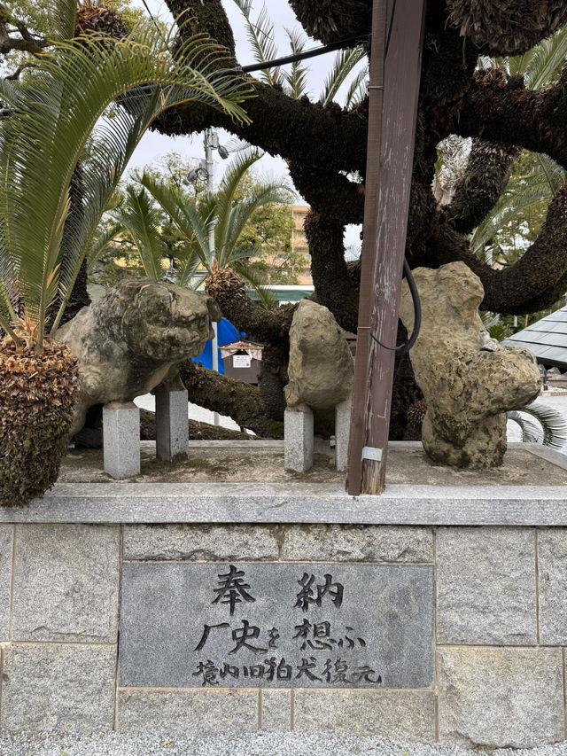 【福岡観光】御神木の大きさに驚き🌳地元で愛される神社⛩