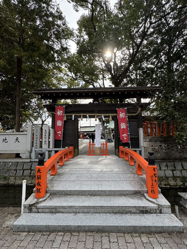 【福岡観光】御神木の大きさに驚き🌳地元で愛される神社⛩