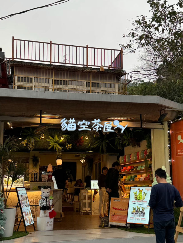可愛的貓貓勝地🥰台北行程攻略❤️‍🔥