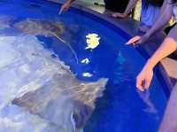 🐟 🐊✅Audubon Aquarium（ニューオーリンズ）攻略ガイド – 海の世界を満喫！