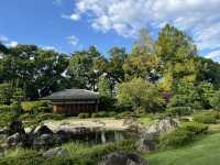 京都二條城｜德川家族廣闊的城池