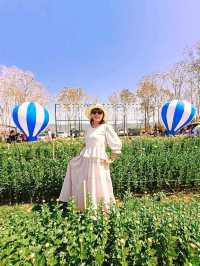 สวนวิลาวัณย์-วังน้ำเขียว Wilawan garden