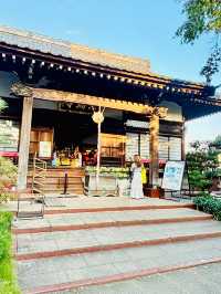【東京】萬年山法輪寺：東京最美花手水舍，季節限定縷空御朱印