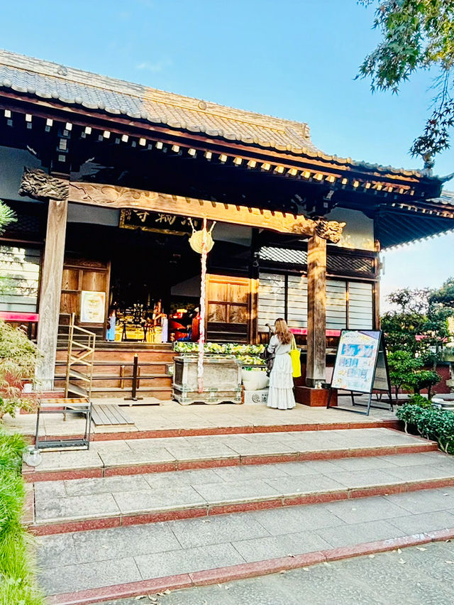 【東京】萬年山法輪寺：東京最美花手水舍，季節限定縷空御朱印