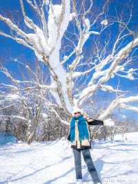 Snow valley