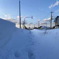 Winter Day in Wakkanai