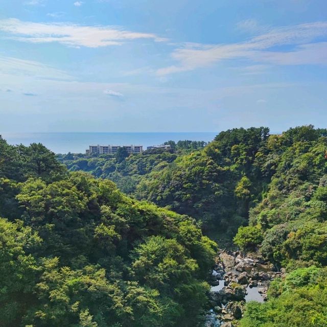 🇰🇷 Seonim Bridge: A Scenic Archway for Photos and Tranquility
