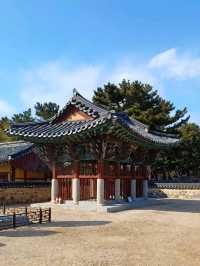 고즈넉한 연못이 어우러진 그림 같은 풍경 🌿🏯